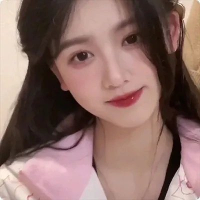 第一夫人的保镖